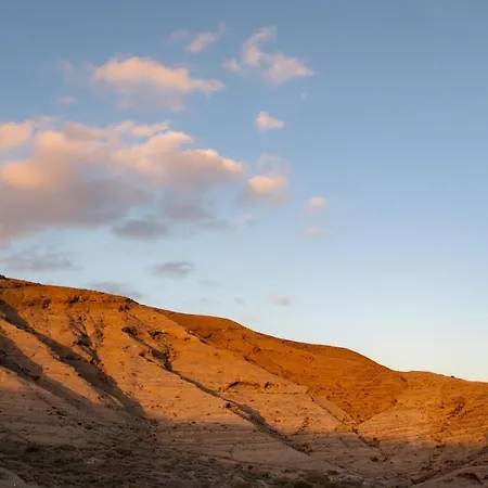 The Tree House Coliving * 厄尔梅达诺