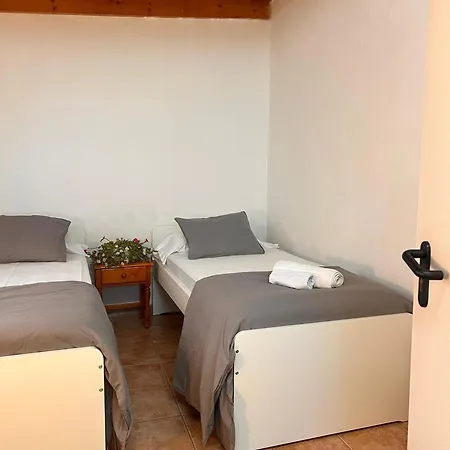 The Tree House Coliving 旅馆 *