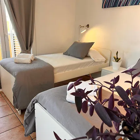 Albergue The Tree House Coliving