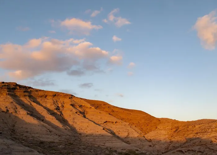 The Tree House Coliving * El Medano (Tenerife)