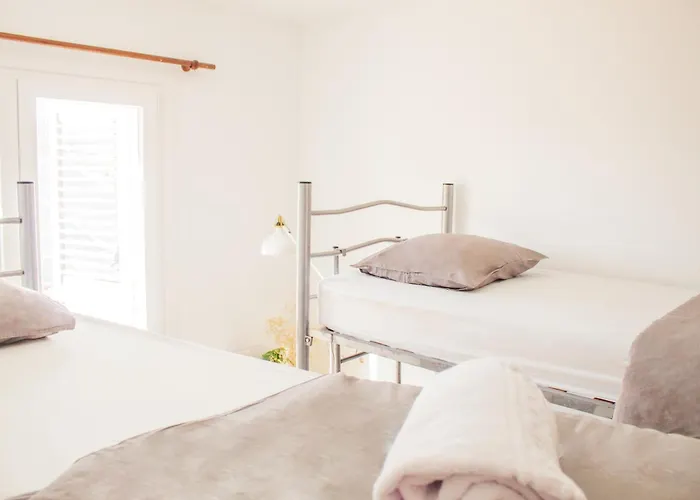 Hostel The Tree House Coliving