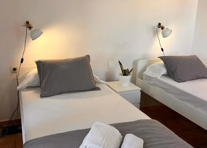 The Tree House Coliving Hostel