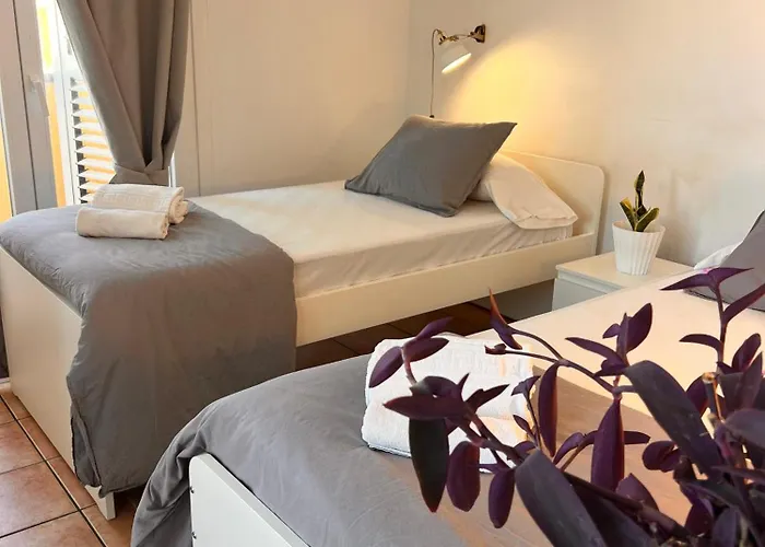 Hostel The Tree House Coliving